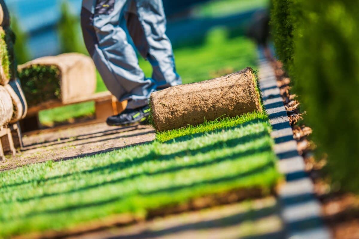 Sod Installation in Atlanta Metro