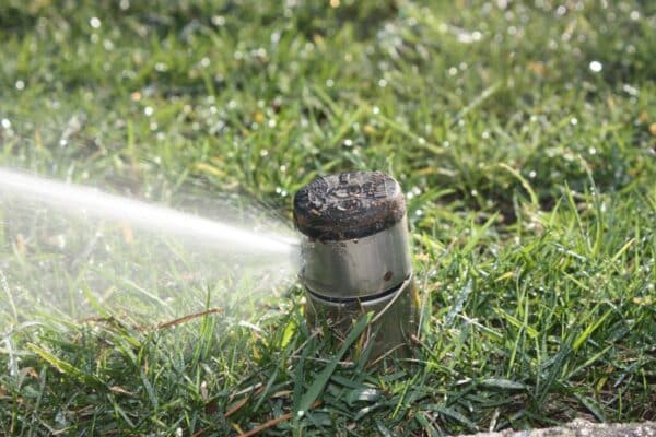 Irrigation Sprinkler Head in a Lawn