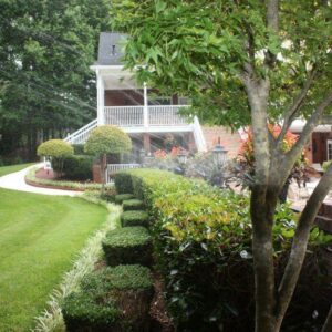 Lawn Irrigation and Landcaping
